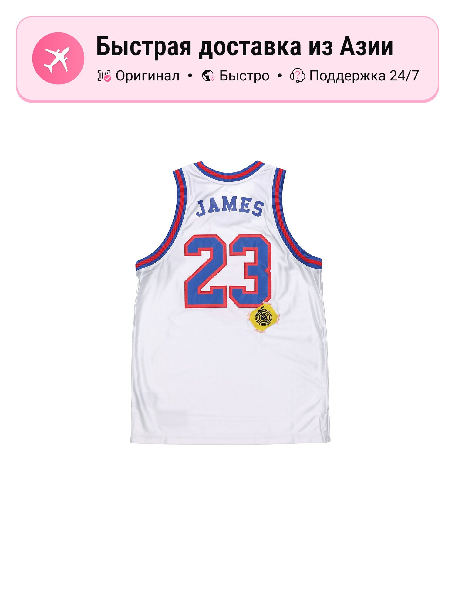 Джерси NIKE LeBron X Tune Squad