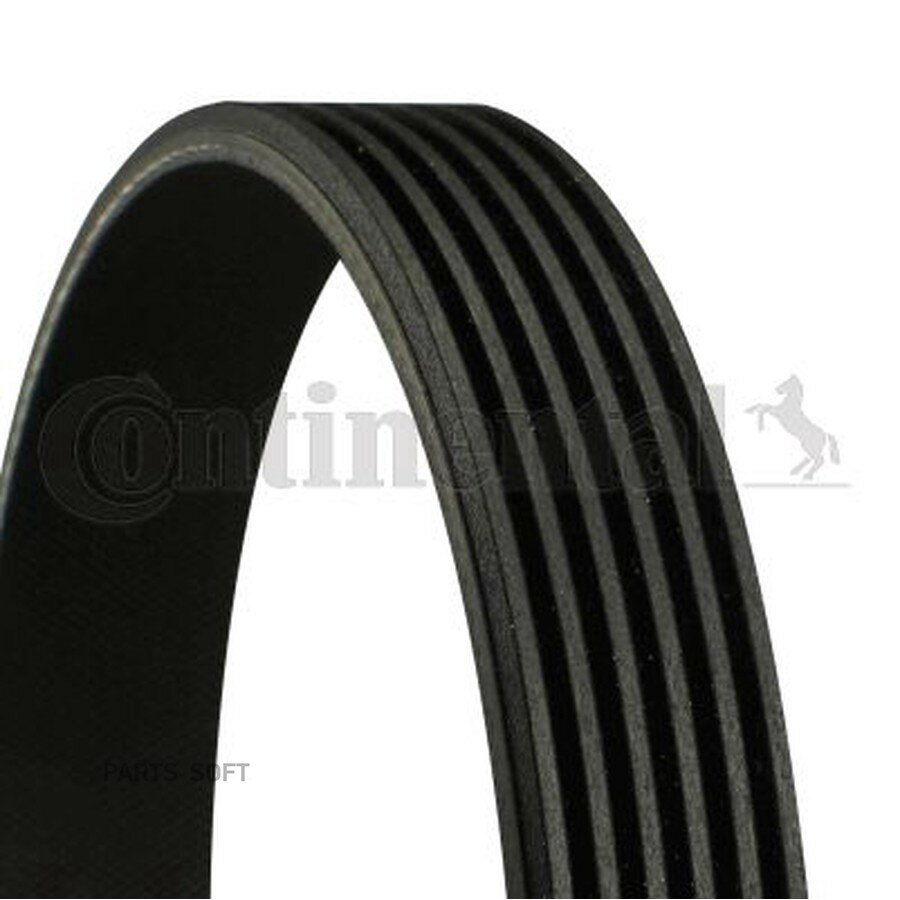 Ремень ручейковый CONTITECH от официального дистрибьютора, CONTINENTAL, артикул 6PK1020EXTRA