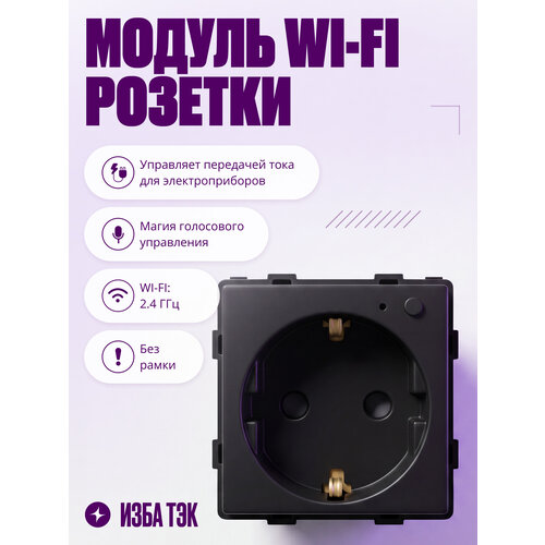 фото Умная розетка wifi, модуль без рамки, с заземлением и шторками, 16а, черная, для умного дома izba tech