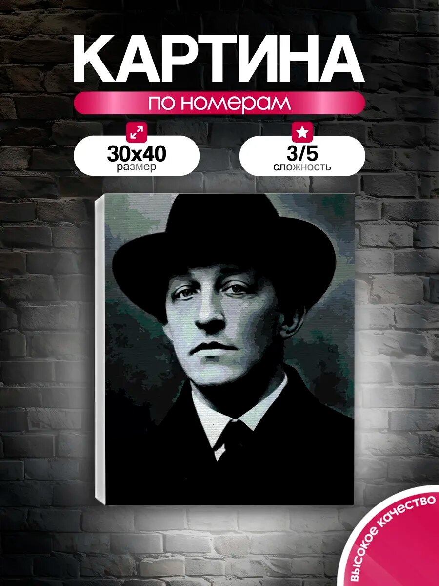 Картина по номерам 30x40 Александр Блок