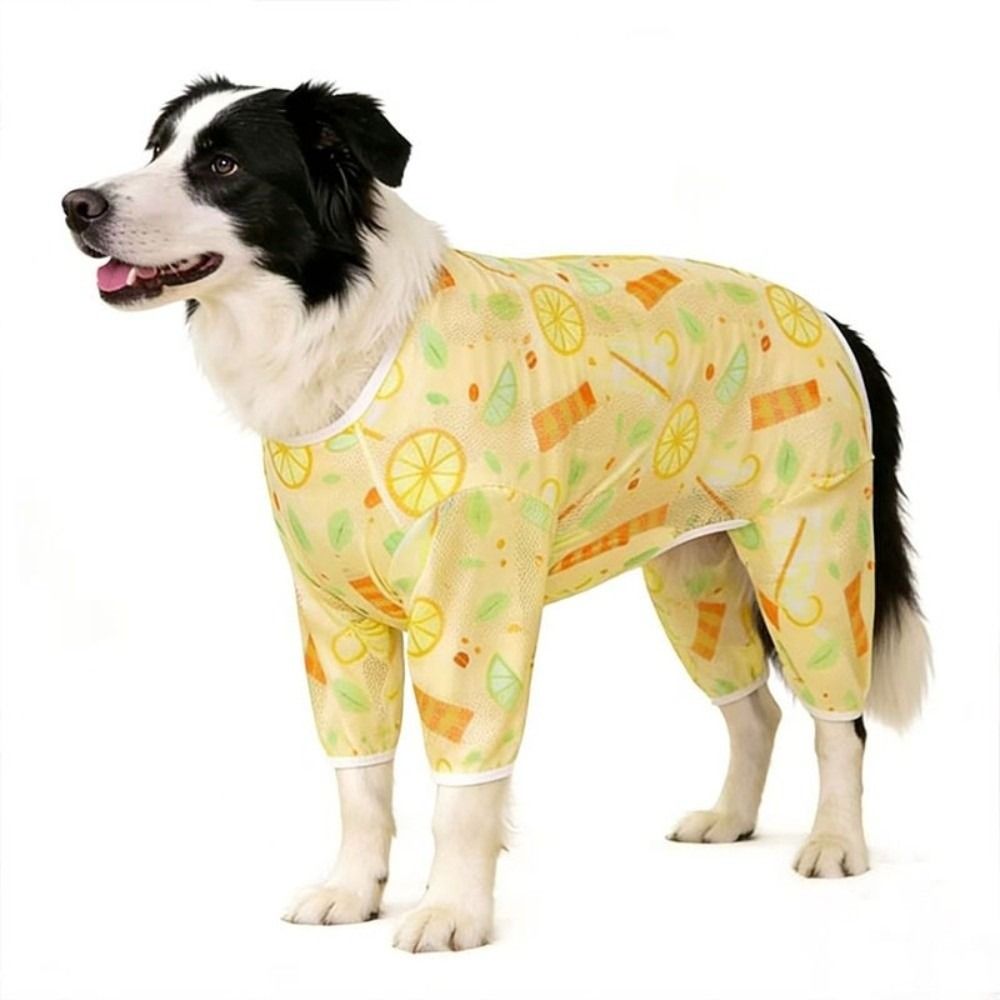 Летняя одежда для домашних животных