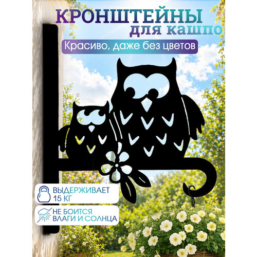 фото Держатель для цветов на стену садовый подвес для кашпо совы comfydecor