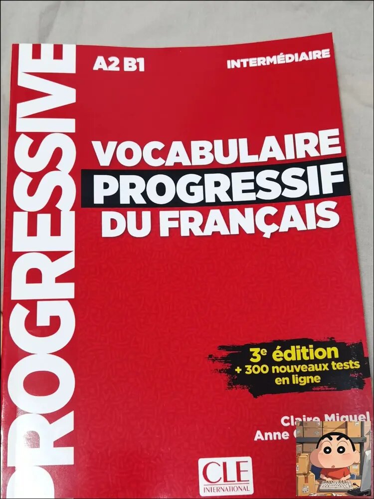 Vocabulaire Progressif du Francais 3eme edition Intermediaire A2 B1