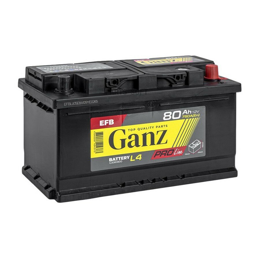 Аккумулятор GANZ PRO-Line EFB Start-stop 80 А/ч обратный R+ 315x175x175 L4 EN 750 А от официального дистрибьютора, GANZ, артикул G3080800