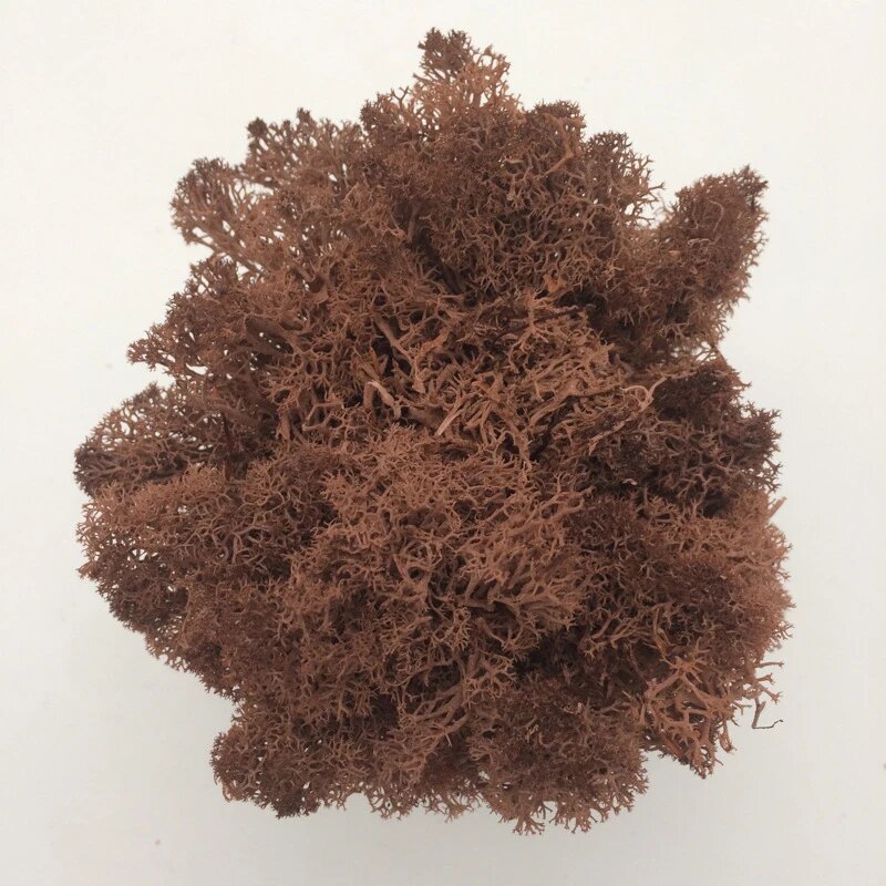 Коричневый искусственный мох 100g