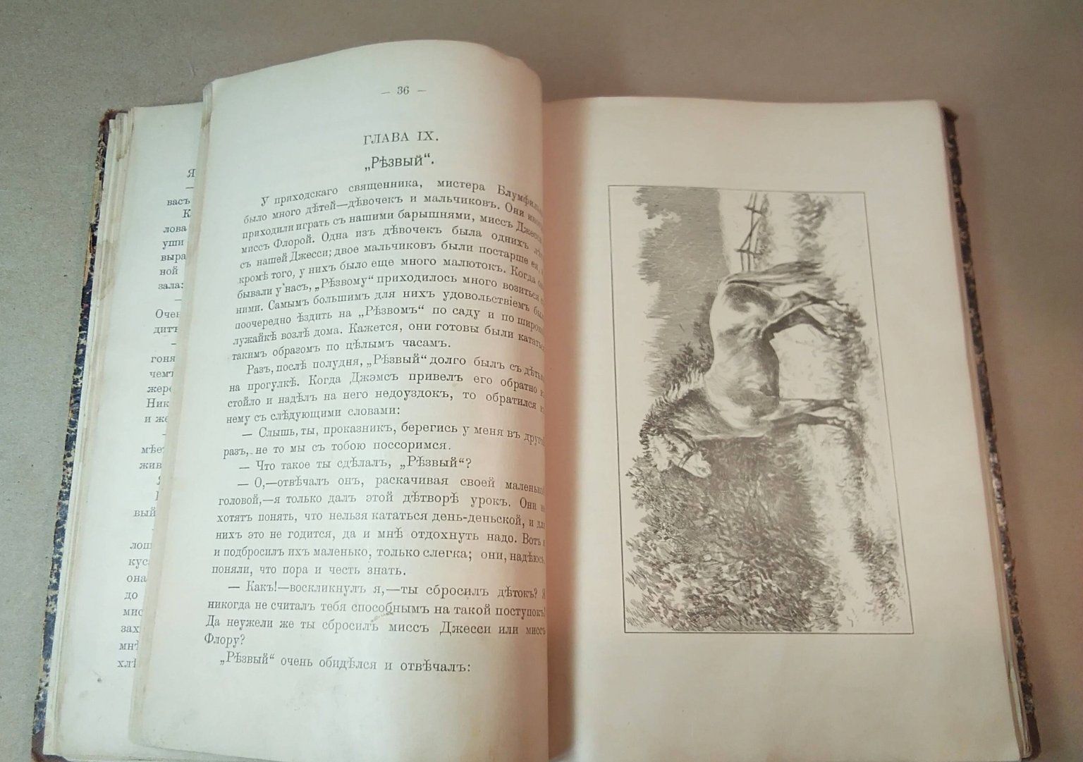 Книга Чёрный Красавчик (в русских переводах Чёрный Красавец ) Анна Сьюэлл, Санкт-Петербург,1901год. уникальное "Нулевое" издание