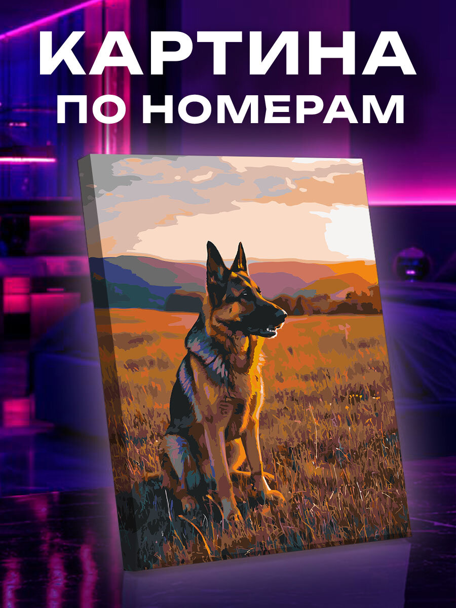 Картина по номерам Собака