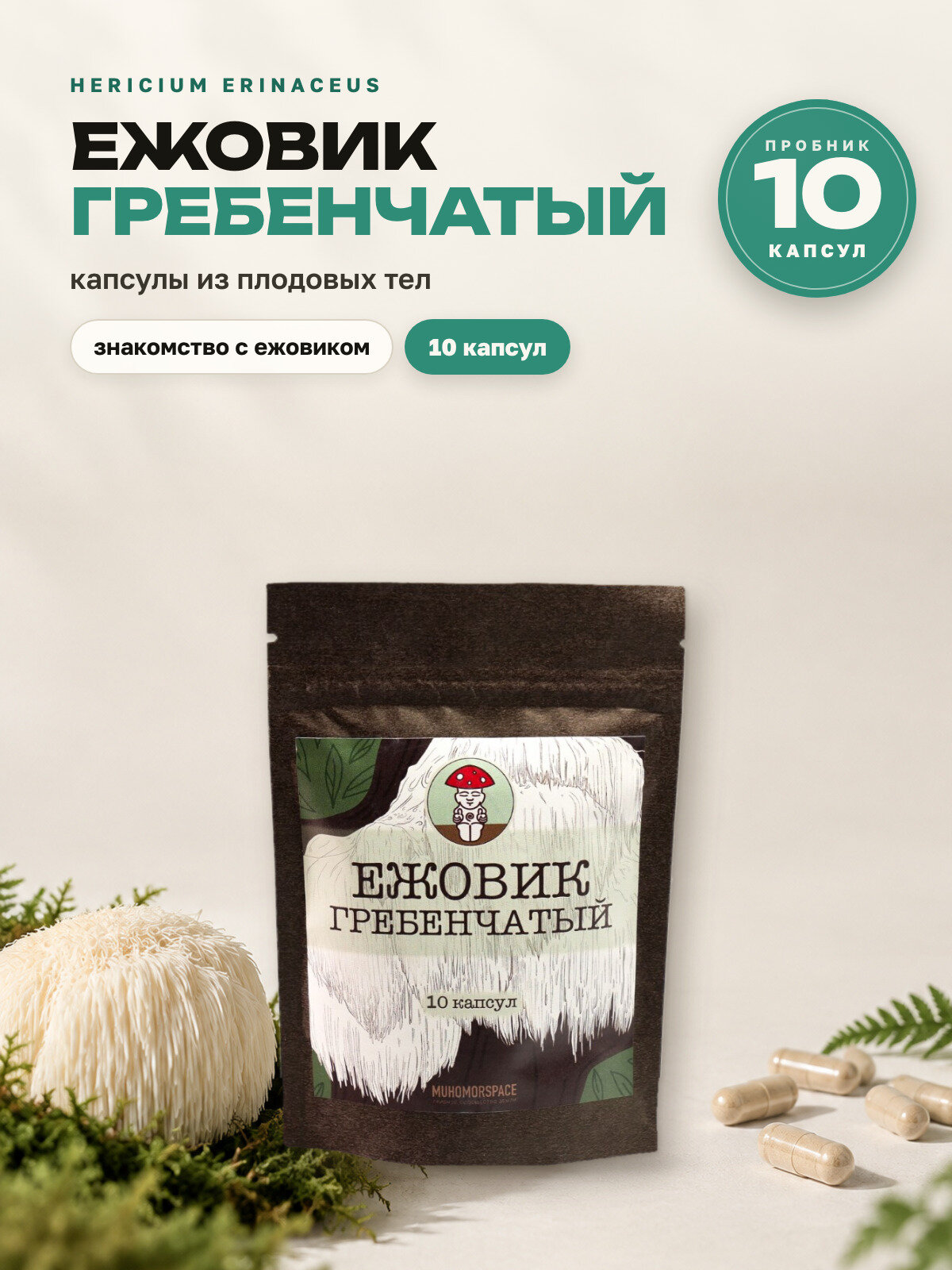 Ежовик гребенчатый (Hericium erinaceus) для мозга и памяти, 10 капсул (1 неделя) MUHOMORSPACE