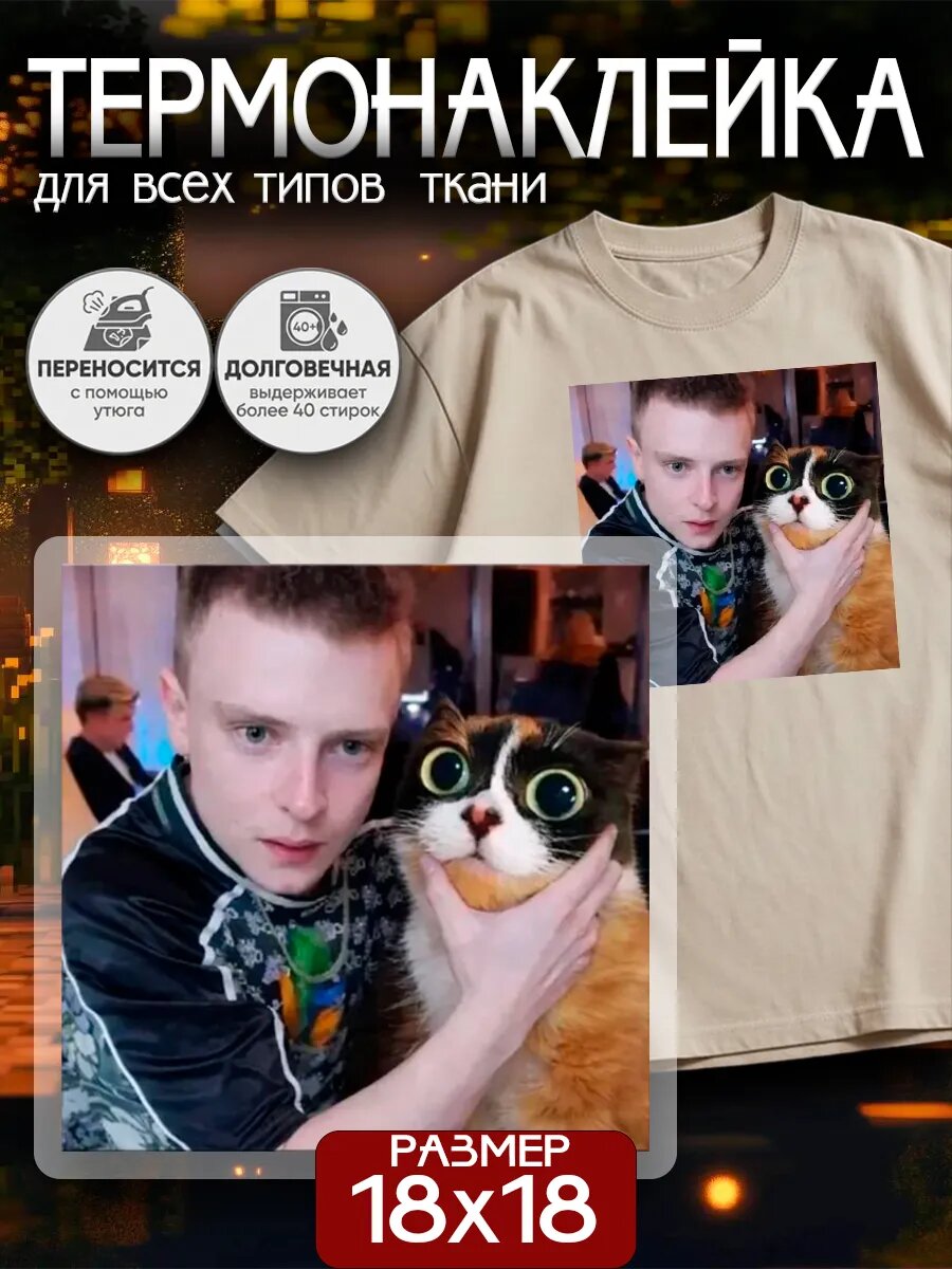 Термонаклейка на одежду Мелстрой котость мем