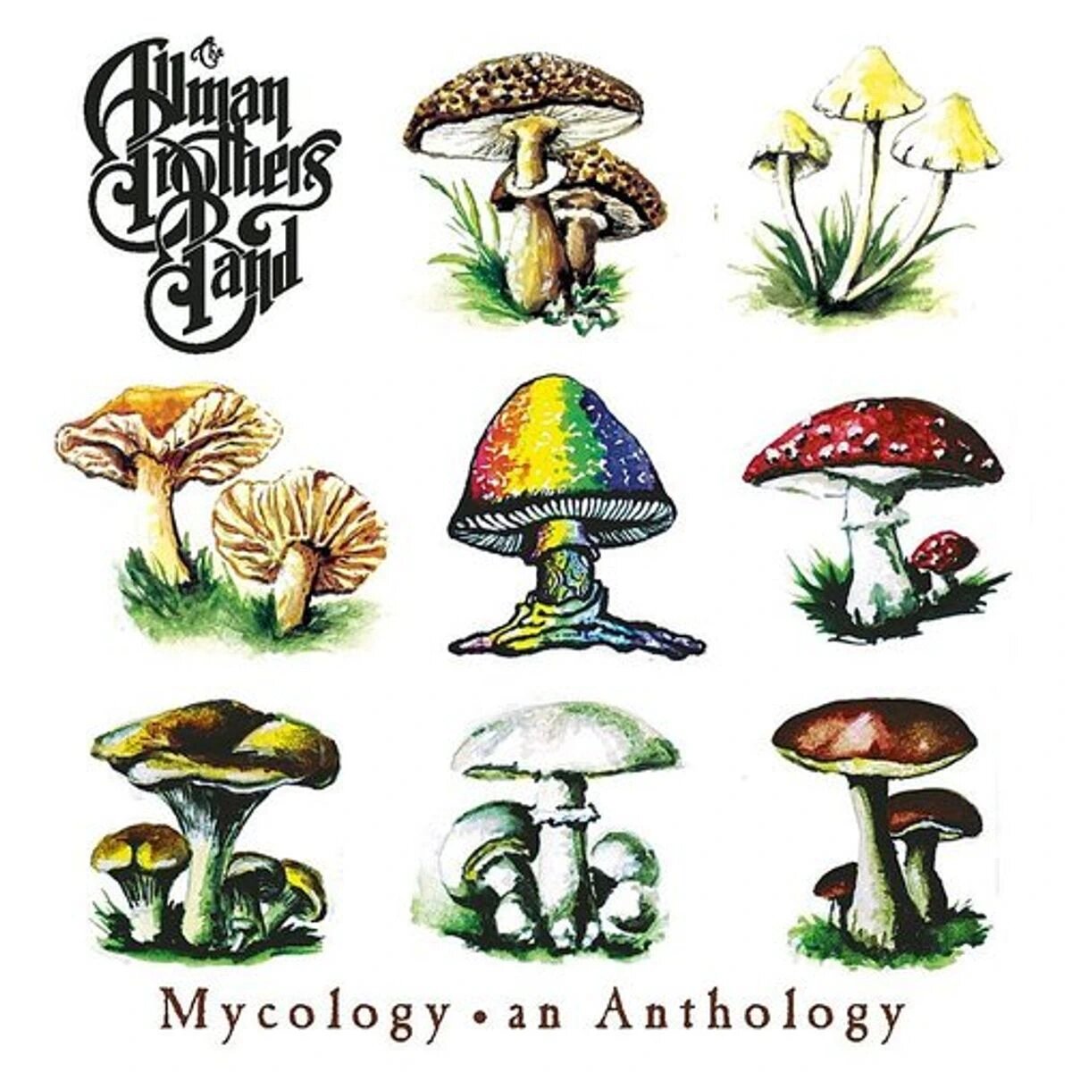 The Allman Brothers Band: Mycology: An Anthology (CD), 2020, Диск Музыкальный