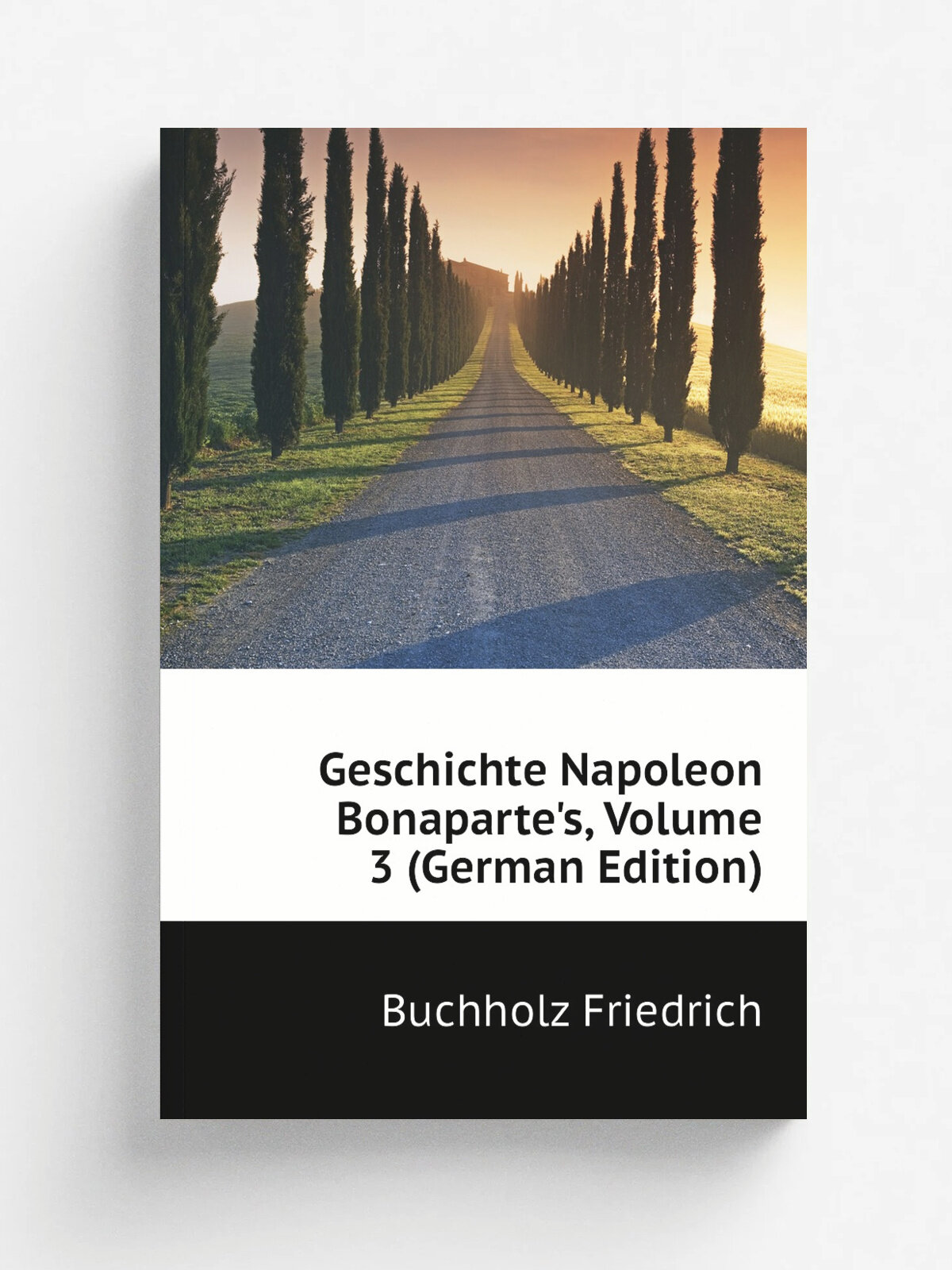 Geschichte Napoleon Bonaparte's, Volume 3 (German Edition) | Buchholz Friedrich | Репринт