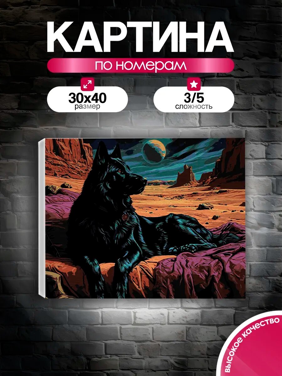 Картина по номерам 30x40 Черный волк-странник