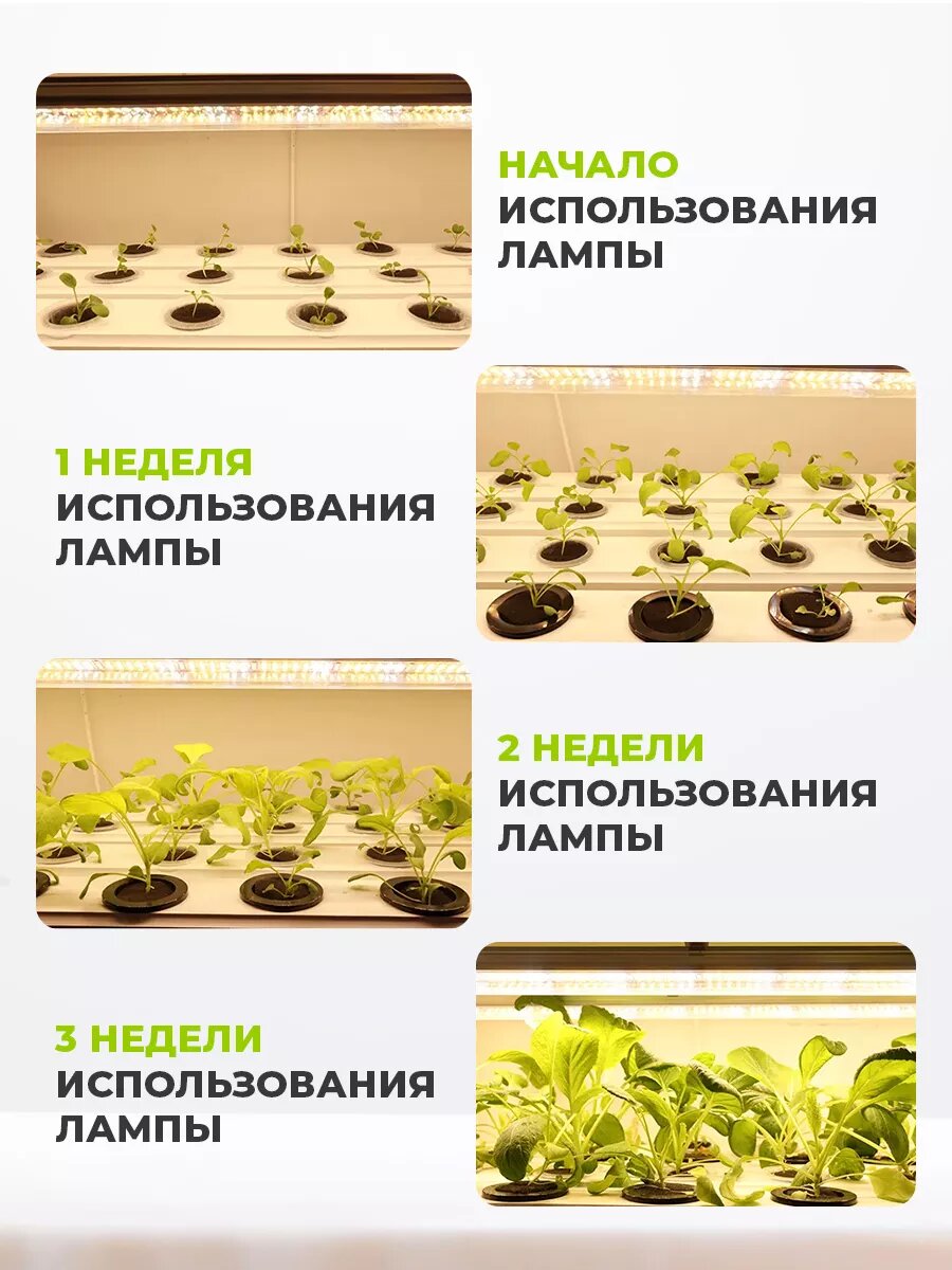 Фитолампа для растений и рассады полного спектра 2 шт. 20 Вт — фото 1