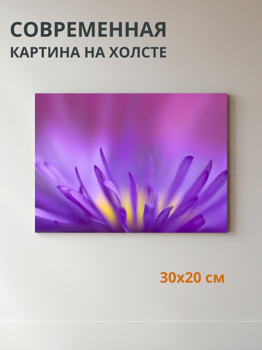 Картина на холсте Цветы 30x20 см