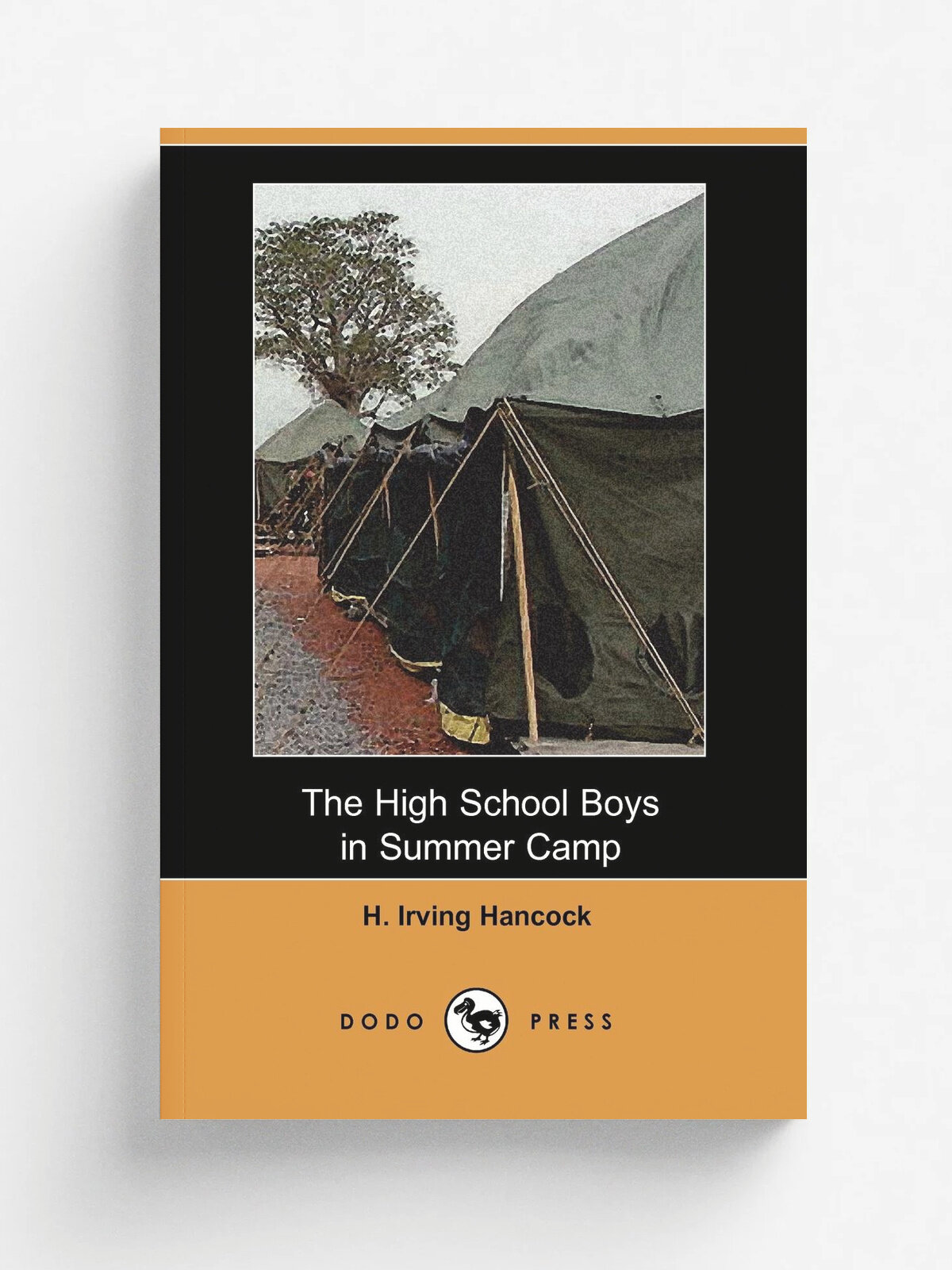 The High School Boys in Summer Camp