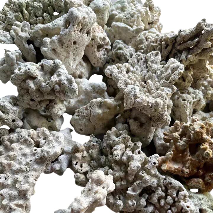 Натуральный коралловый рифовый камень для декора аквариума, смешанная форма, 1 фунт (около 500 г), идеально подходит