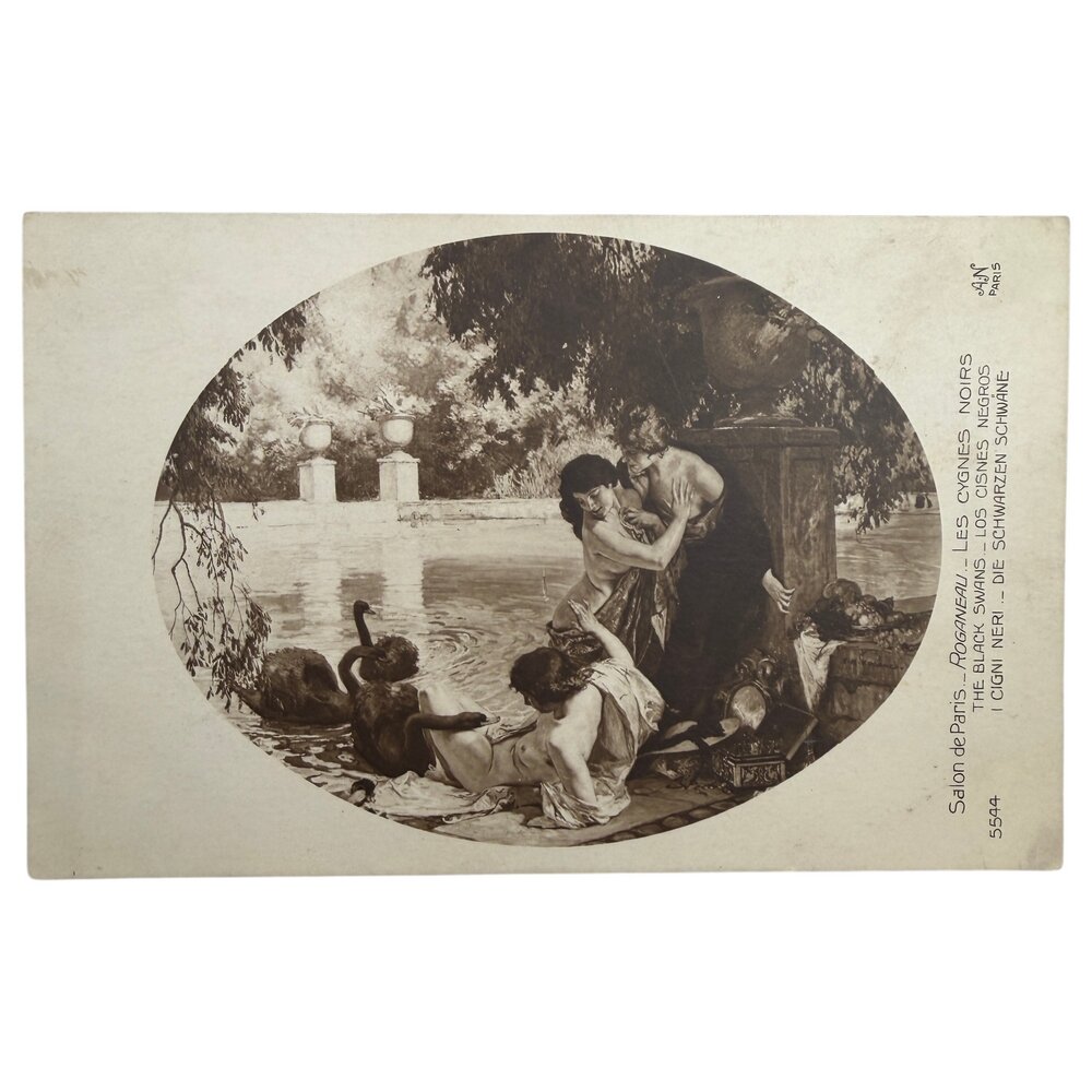 Почтовая открытка "Рогано - Чёрные лебеди" 1900-1915 гг. Франция
