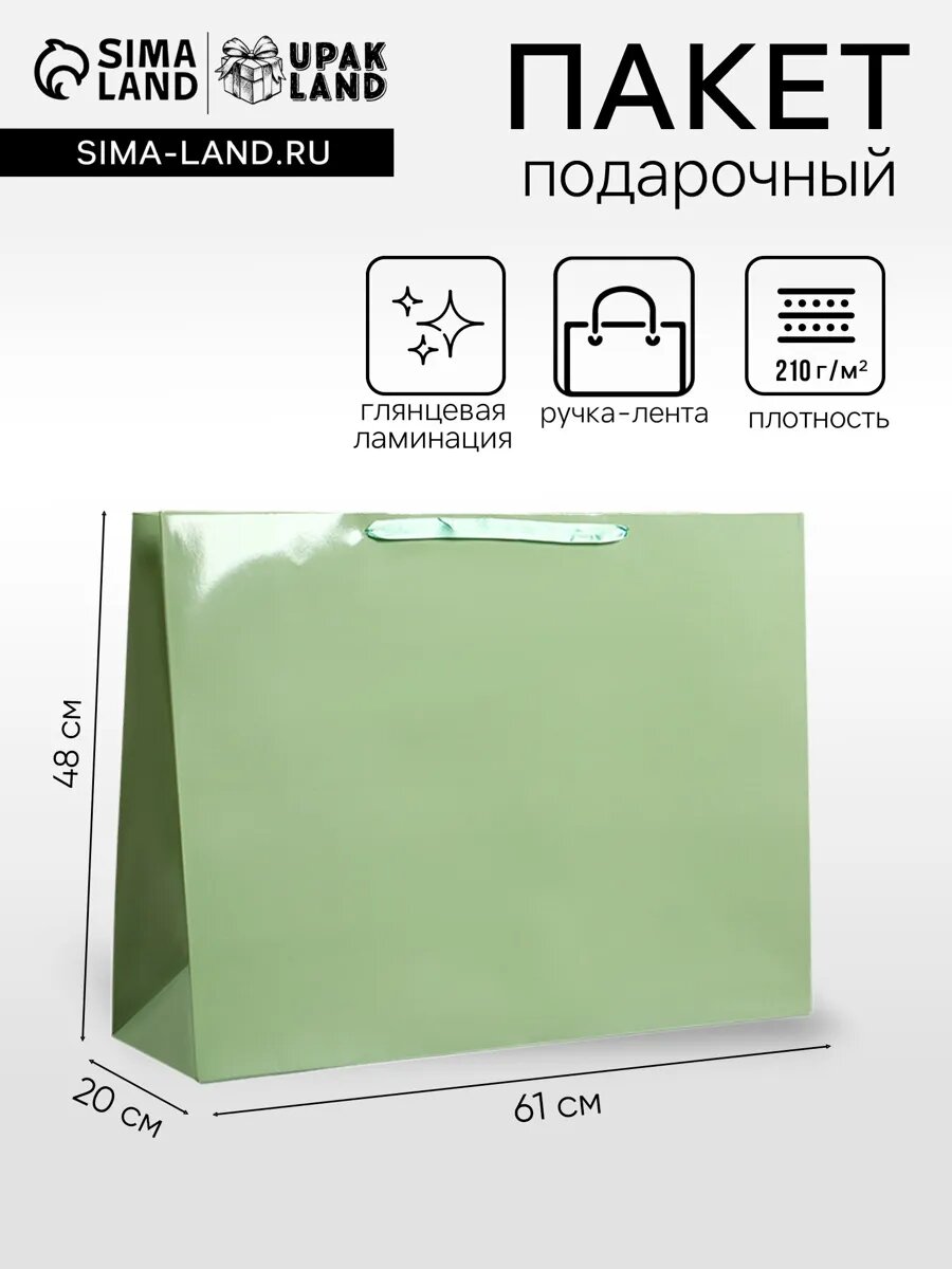 Пакет подарочный глянцевый большой
