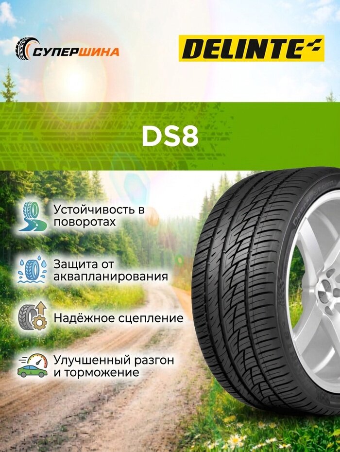 Шины Delinte DS8, летние, 315/30, R22, для легковых авто
