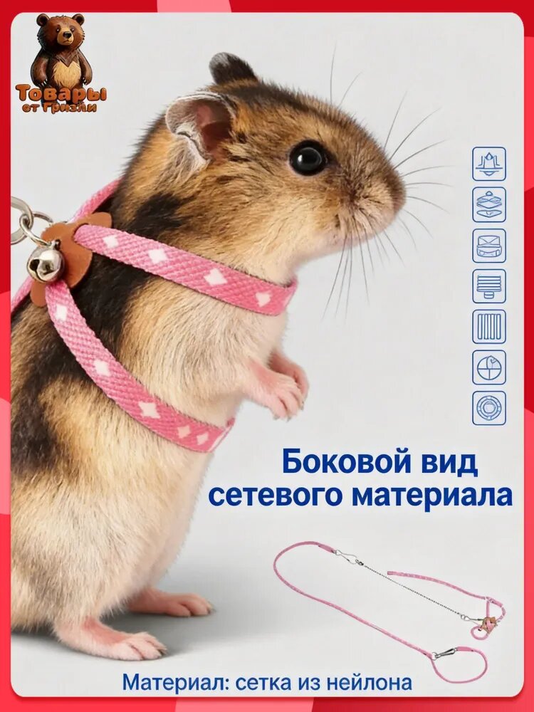 Упряжь для хомяка с поводком, прогулочная шлейка для грызунов, регулируемая экипировка для карликовых хомяков и джунгариков, безопасный аксессуар для выгула
