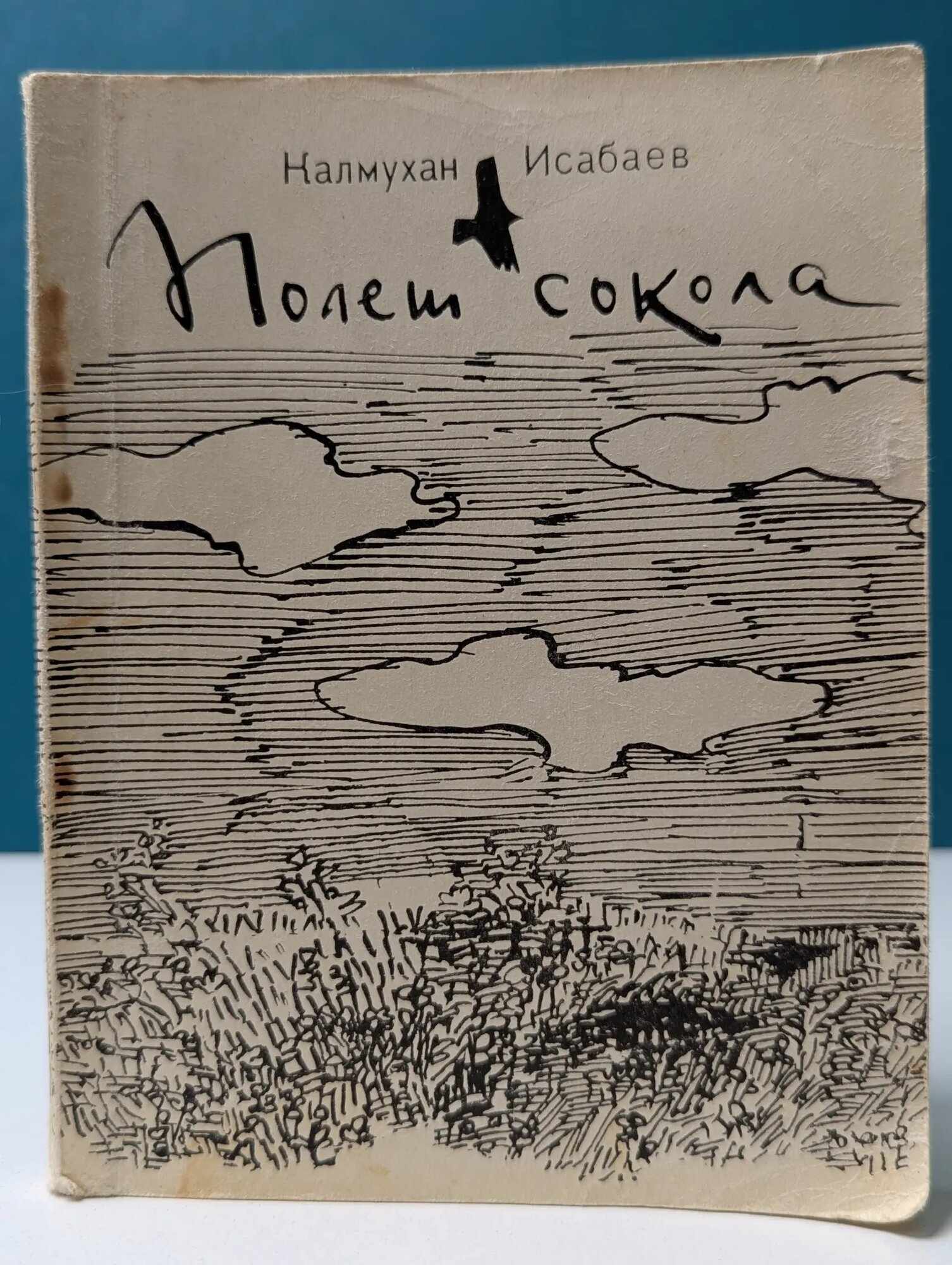 Полет сокола Исабаев Калмухан 1976