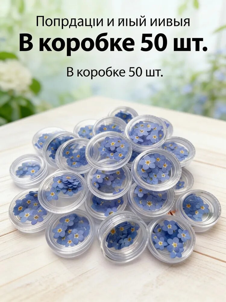 Коробка с 50 мини-засушенными цветами незабудки