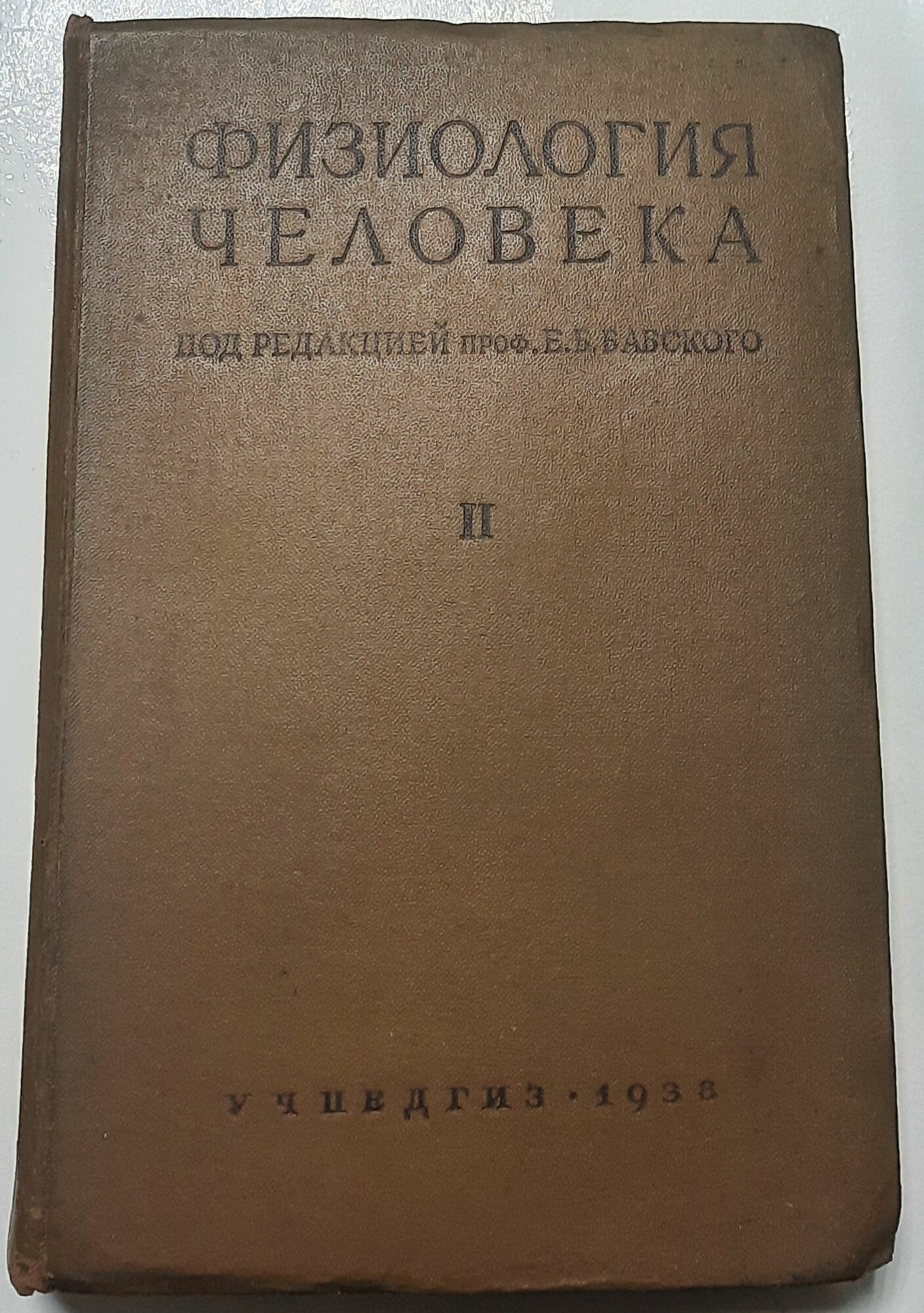 Физиология человека II