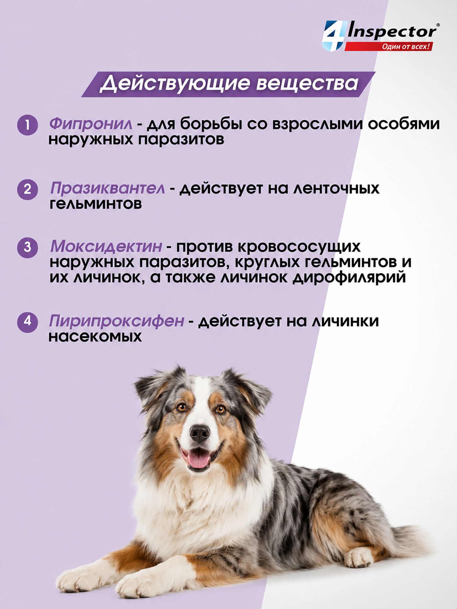 Капли от внутренних и внешних паразитов INSPECTOR QUADRO для собак от 10 до 25 кг, 3 пипетки — фото 1