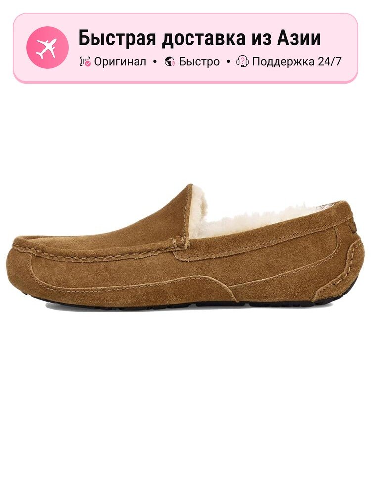 Кроссовки UGG Ascot Slipper