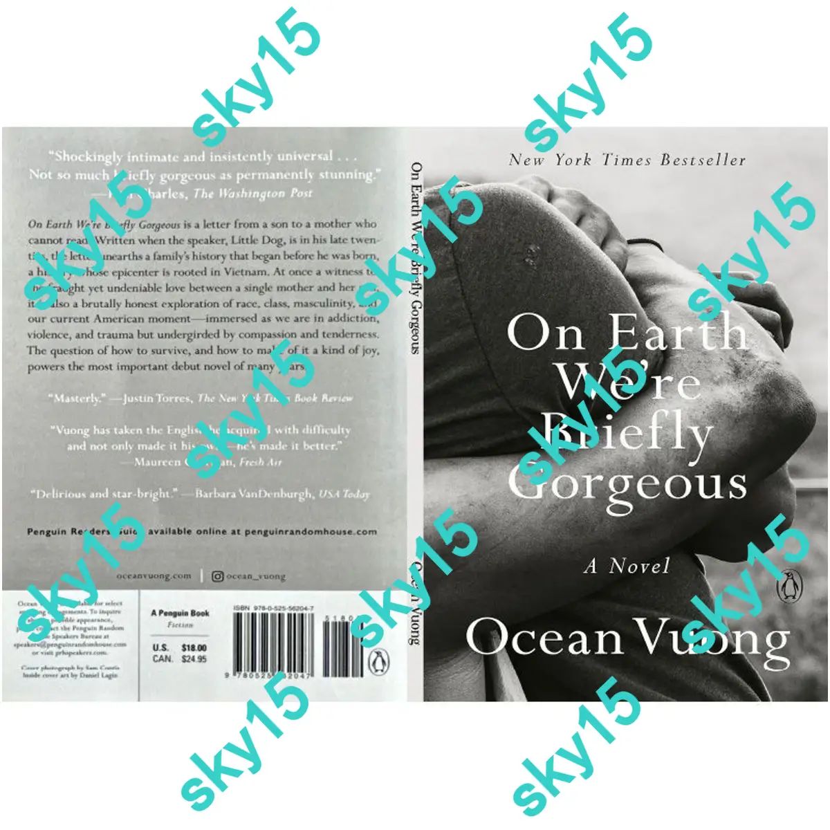 Книга On Earth We're Briefly Gorgeous, Ocean Vuong, роман, английский язык