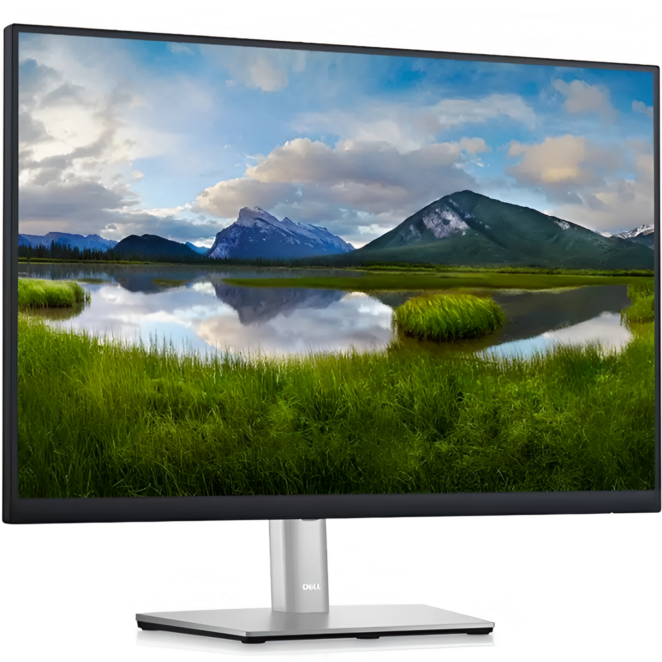 Монитор Dell TFT 24" P2423 (1920x1200, IPS, WLED, 300кд/м2, 1000:1, 5мс, 178°, Display Port, HDMI, DVI, VGA, 4xUSB3.2)