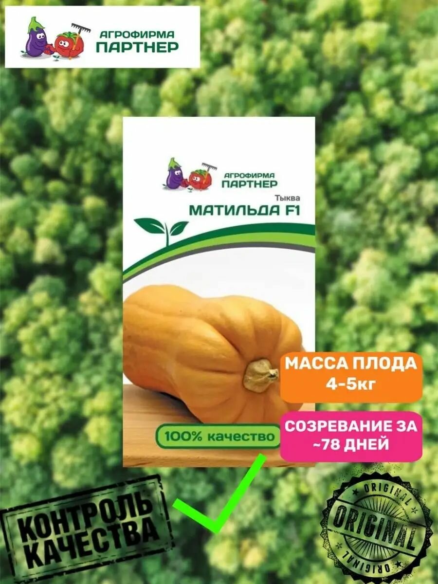 Тыква матильда F1, (5шт)
