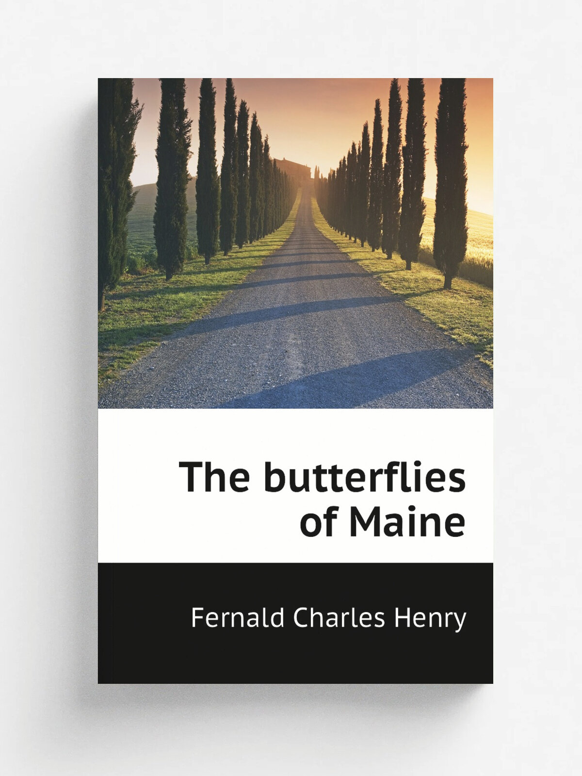 The butterflies of Maine | Fernald Charles Henry | Репринт
