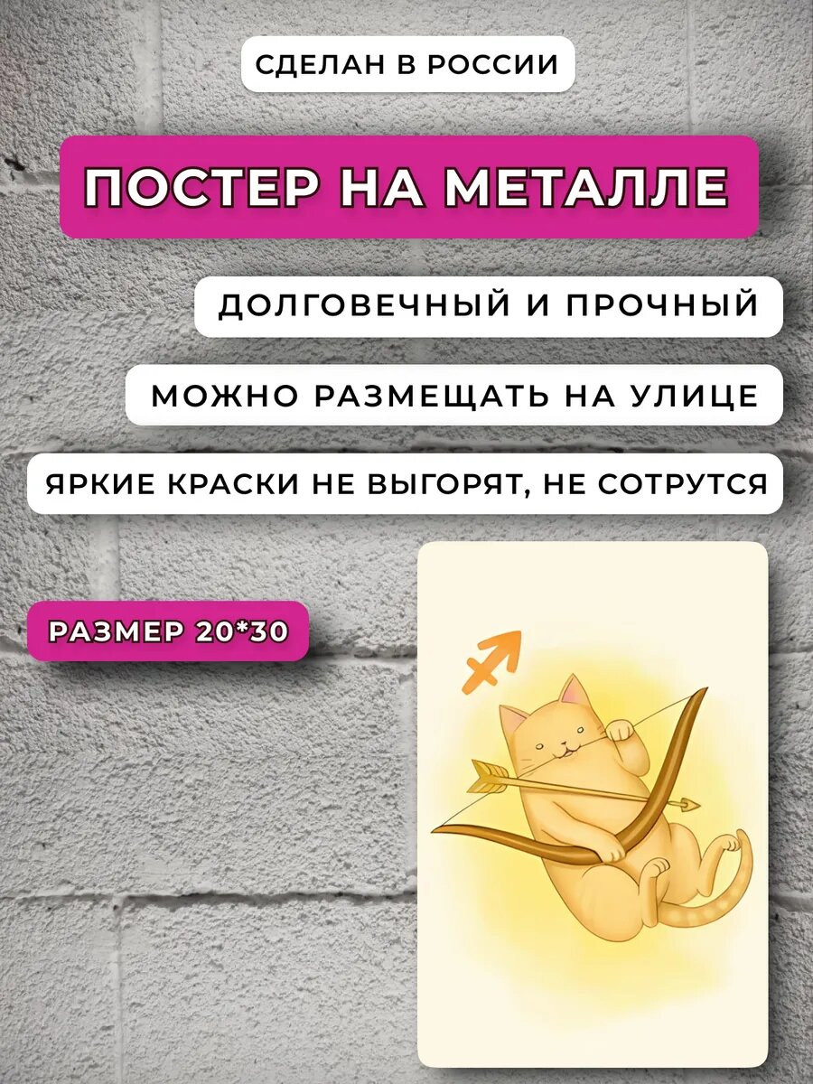 Кошка стрелец постер — фото 1