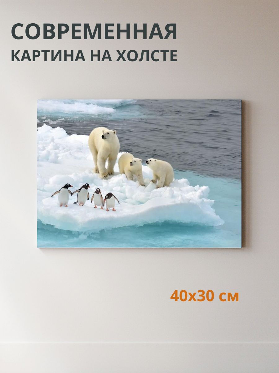 Картина на холсте Полярный дуэт медведя и пингвина 40x30 см