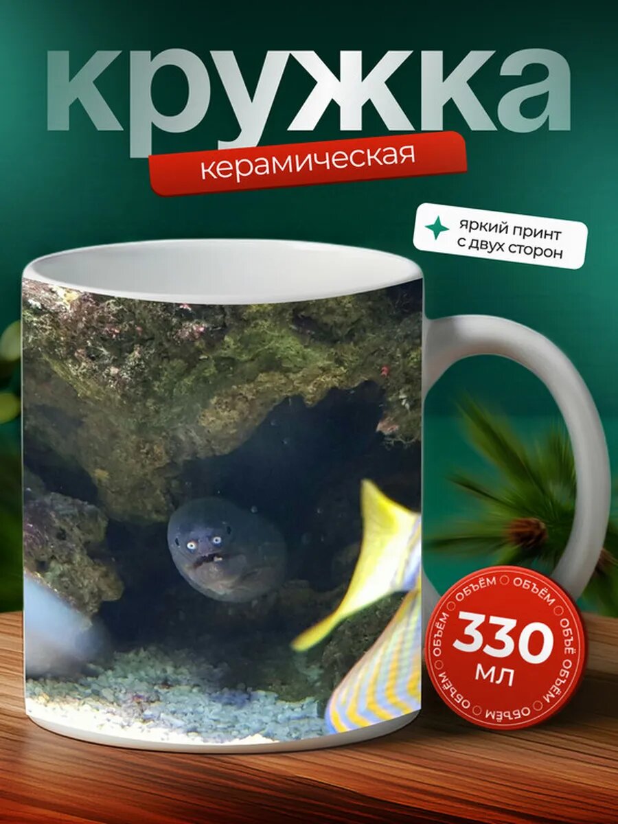 Кружка Мурена рыба 7,