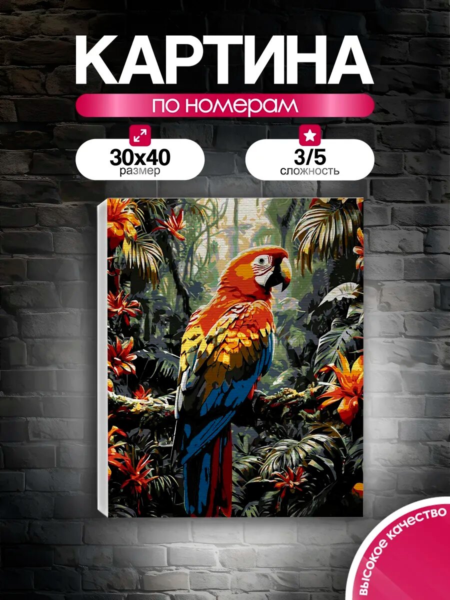 Картина по номерам 30x40 Попугай Ара