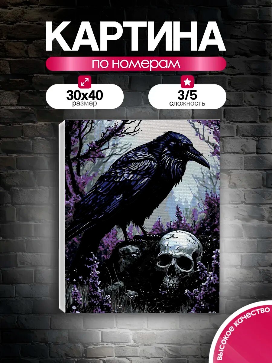Картина по номерам 30x40 Ворон и череп