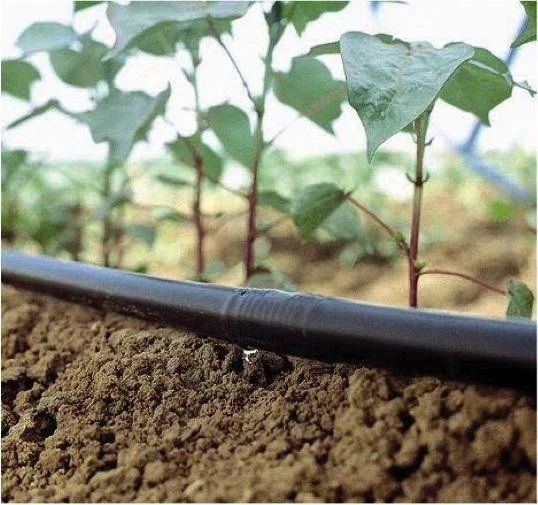 Трубка iRRi-GO 16 мм капельная компенсированная(PC), вылив 1,6 л/час ,0.9 мм (36 mil), шаг 50см (черная), бухта 100м.