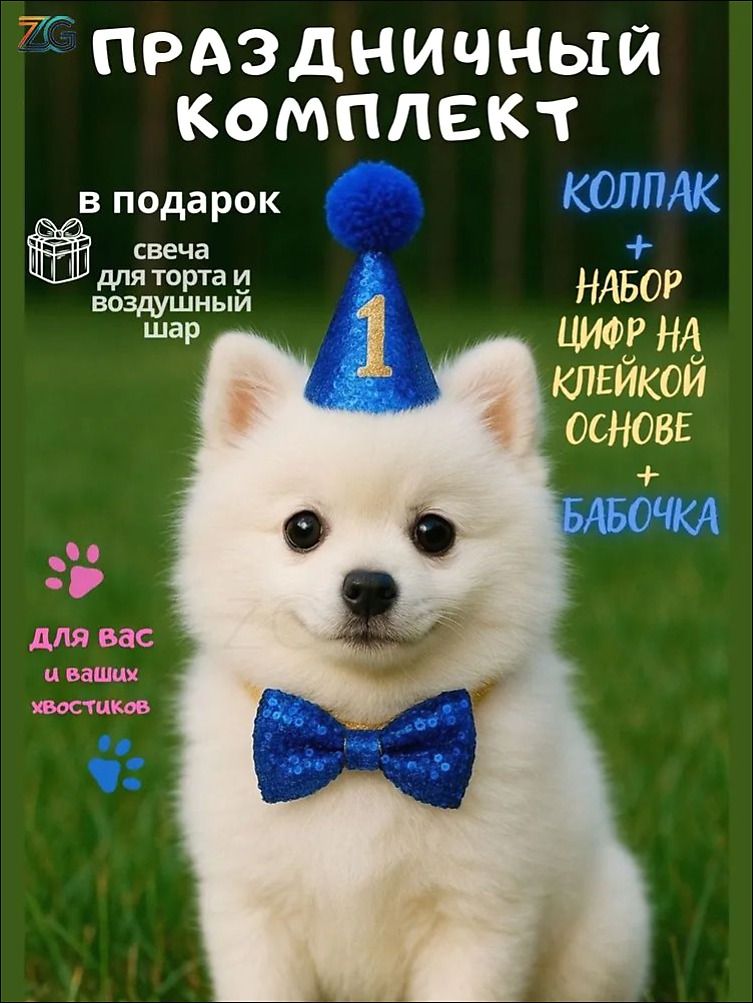 Аксессуары для праздника питомца синий набор: колпак, бабочка
