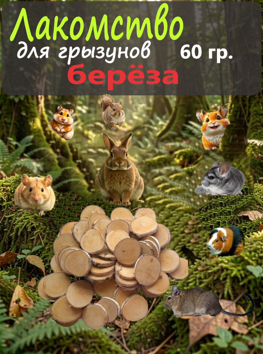 Веточки для грызунов берёза, древесные, экологичные, поддержание иммунитета, 60 гр.