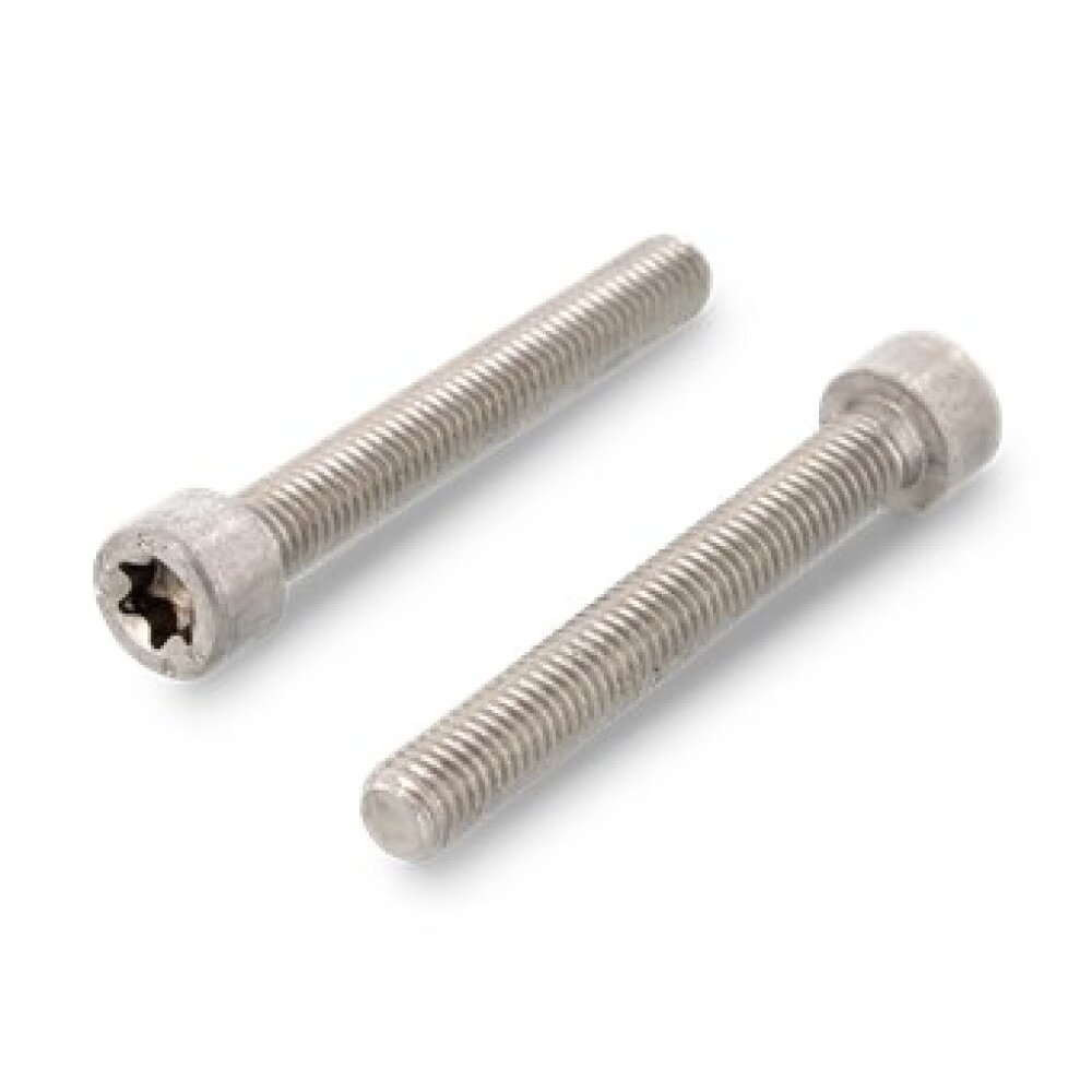 DIN 912 / ISO 14579 Винт с цилиндрической головкой и внутренним приводом TORX M6 x 50/50 TX 30 А2-Нерж - 5 шт.