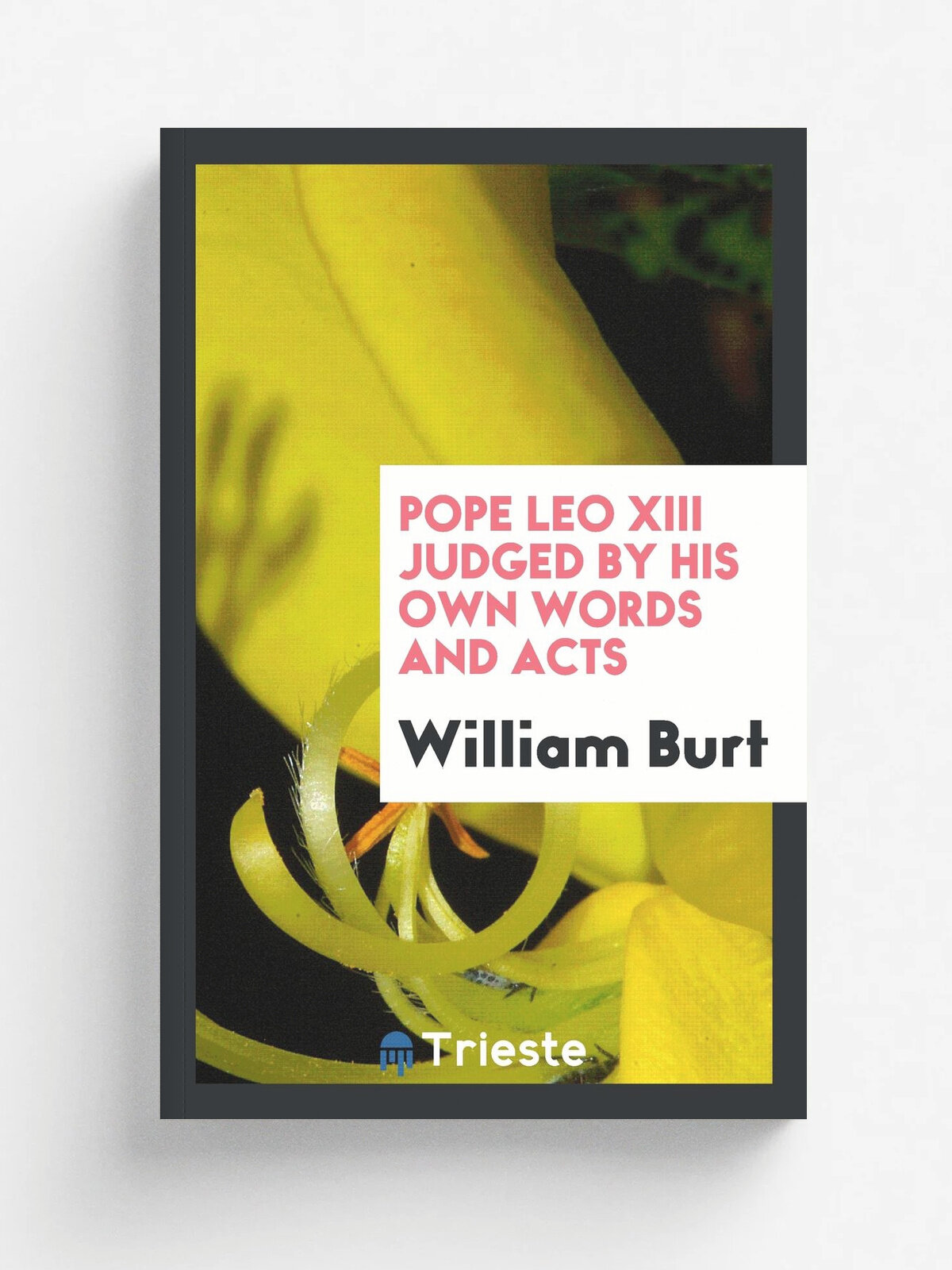 Pope Leo XIII judged by his own words and acts
