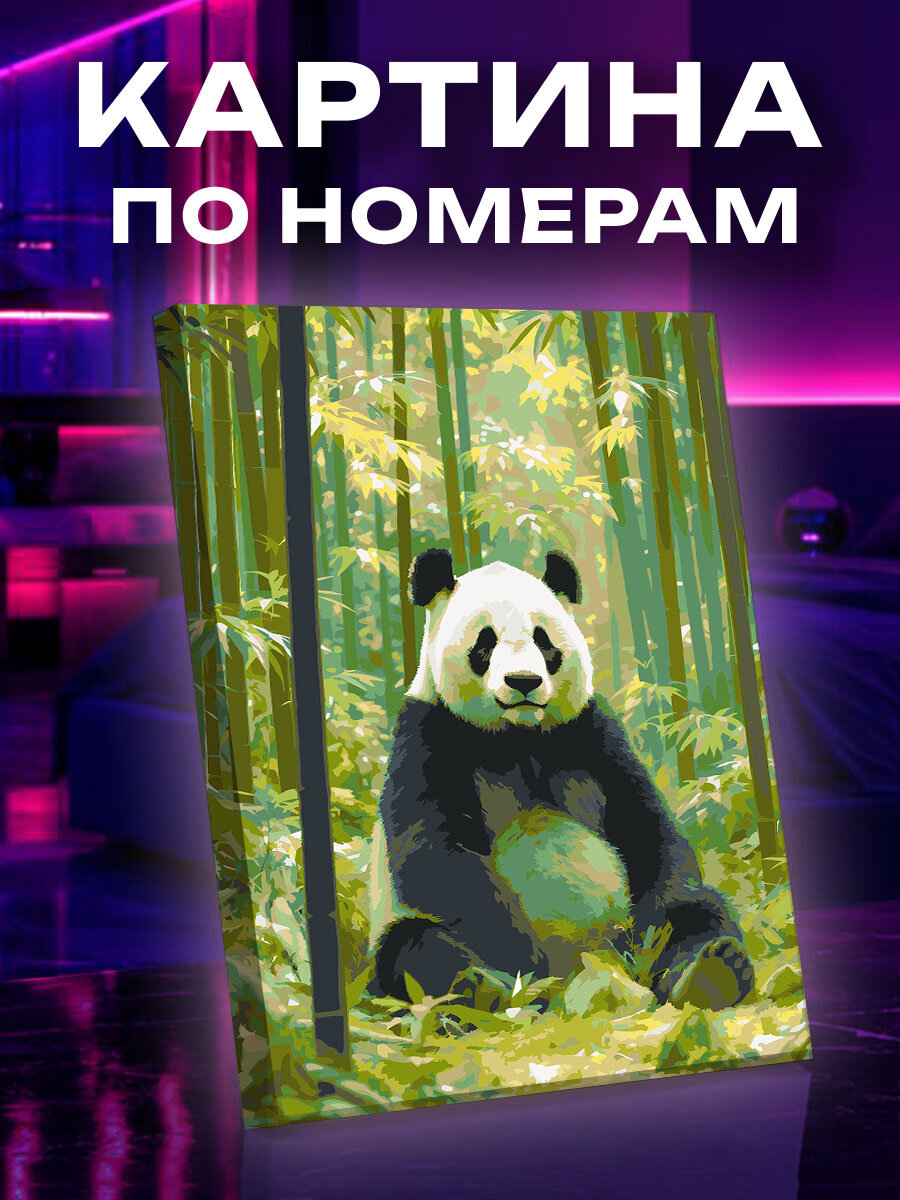 Картина по номерам Панда