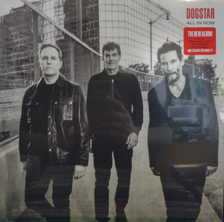 DOGSTAR All In Now (Виниловая пластинка)