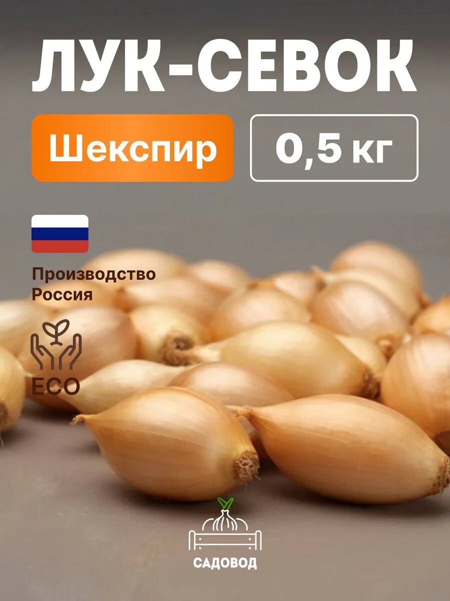 Лук севок Шекспир 0,5 кг на осеннюю посадку