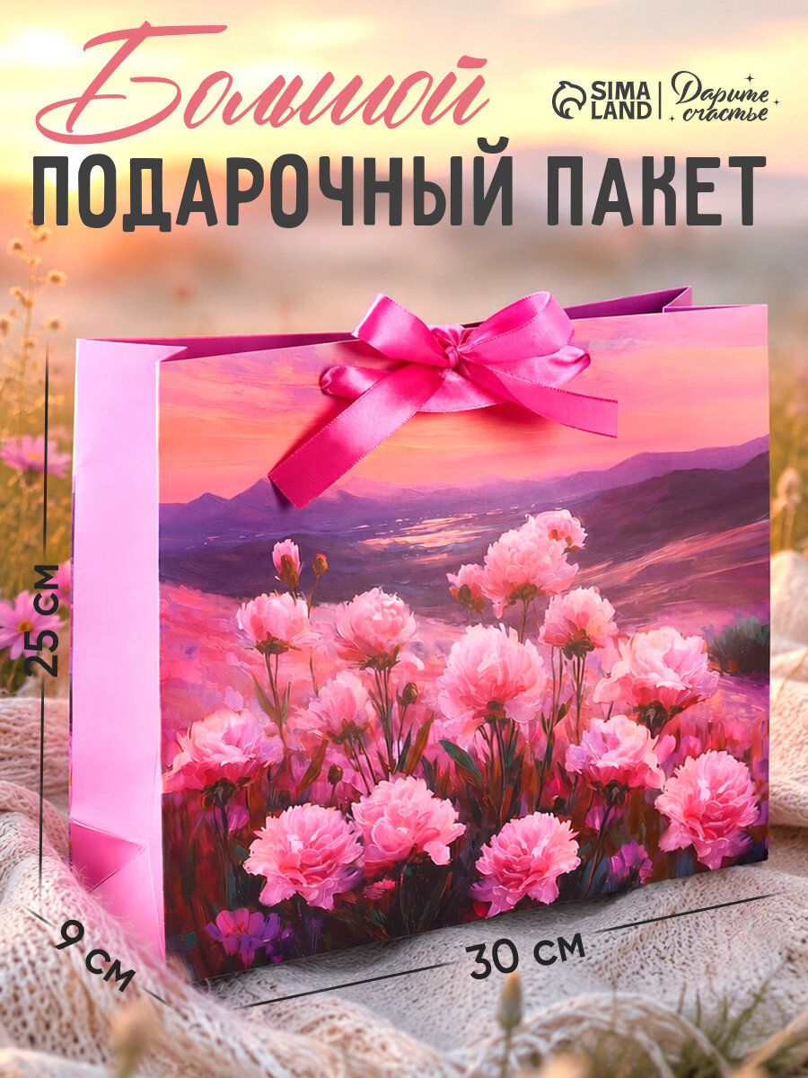 Пакет подарочный, 25 х 30 х 9 см