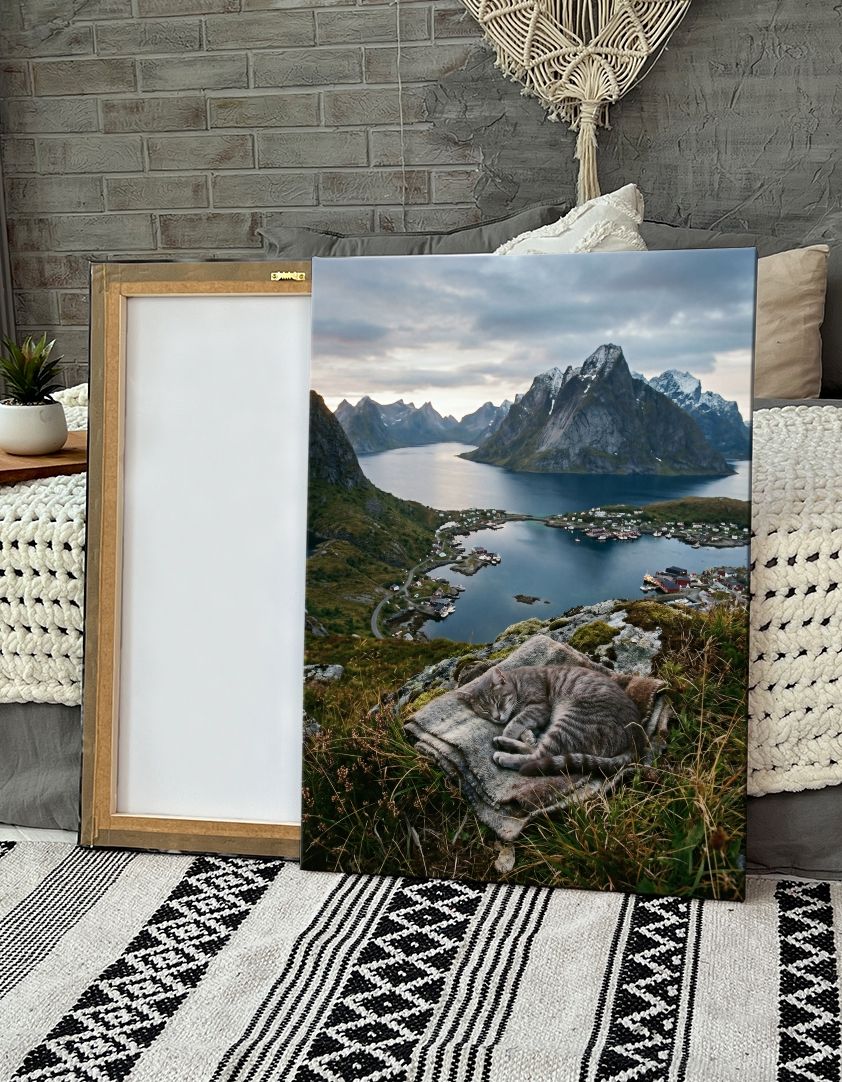 Картина на холсте (кот, спит, одеяло, фьорд, Лофотены, Норвегия, горы) 60x80 см. Интерьерная на стену. Украшение в комнату. В подарок.