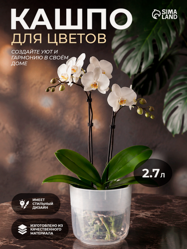 Изображение товара Кашпо для цветов со вставкой «Линель», 2,7 л, d=16 см, h=16 см, прозрачное