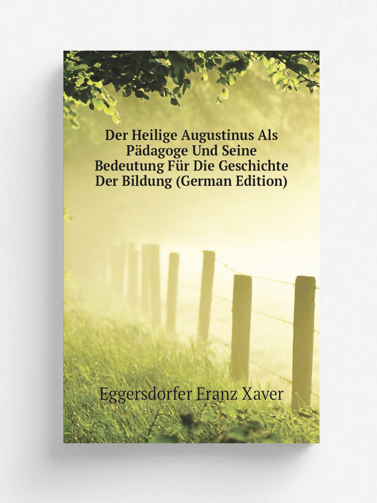Der Heilige Augustinus Als P.dagoge Und Seine Bedeutung F.r Die Geschichte Der Bildung (German Edition) | Eggersdorfer Franz Xaver | Репринт